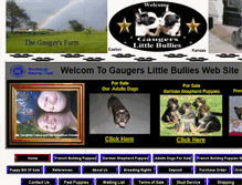 Tablet Screenshot of gaugerslittlebullies.com